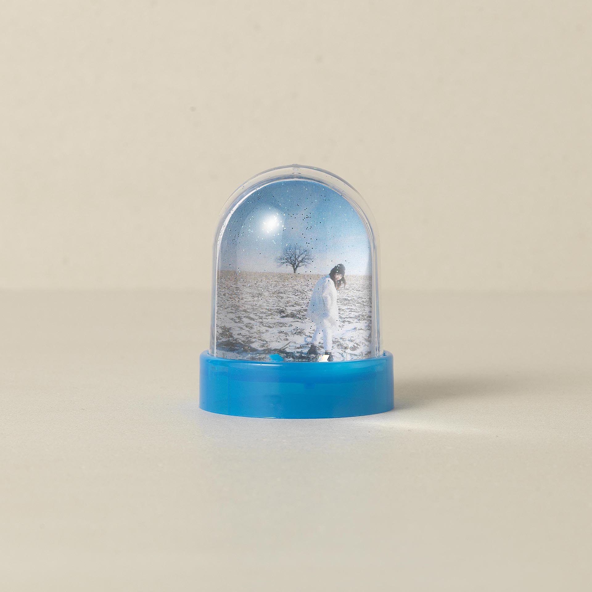 WB-1005 - PHOTO GLOBE PETITE