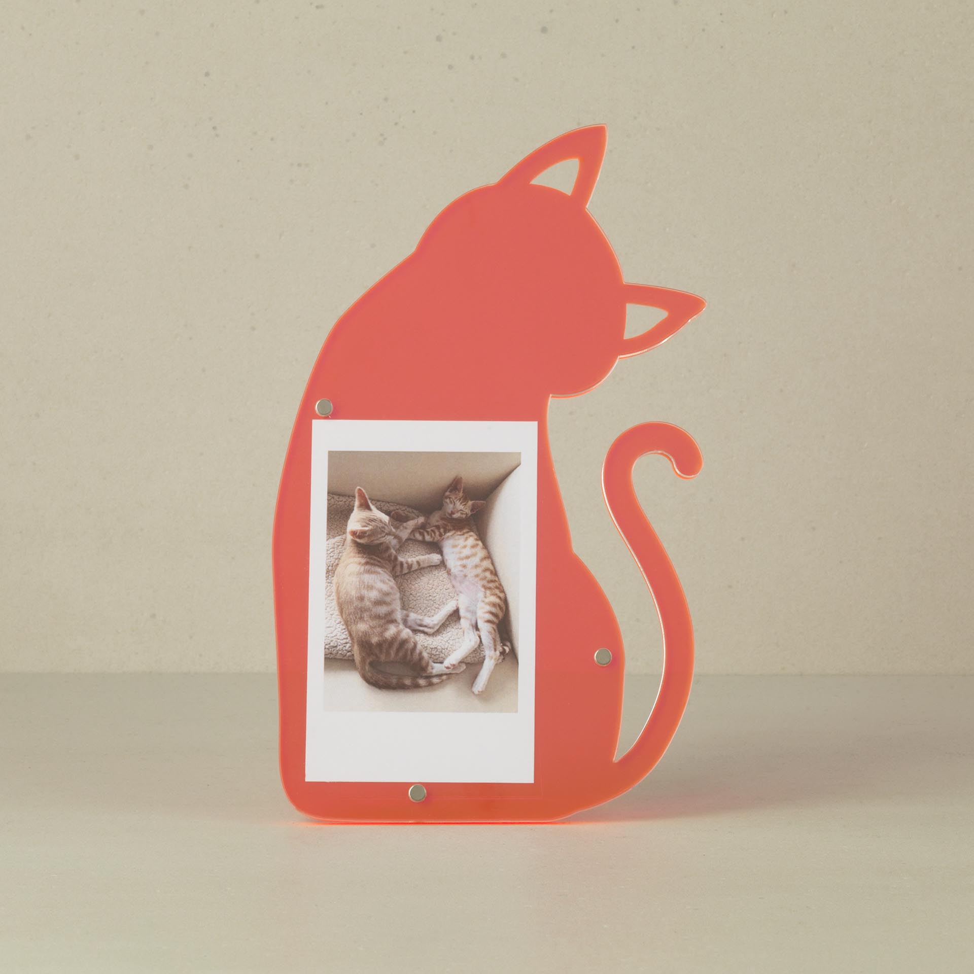 WB-1813 - CAT INSTAX FRAME