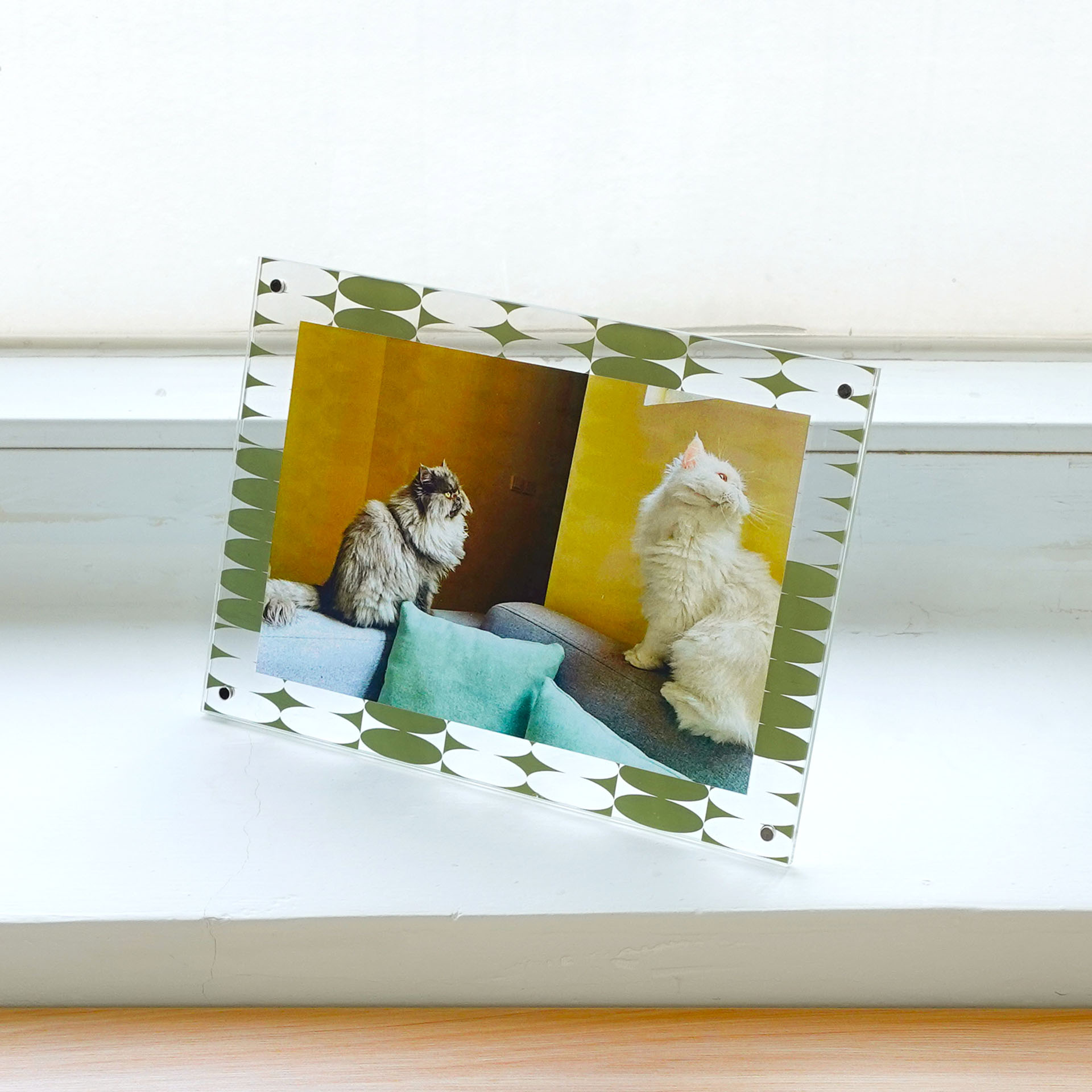 WB-2013/EGGS - Pattern Acrylic Frame (Eggs)